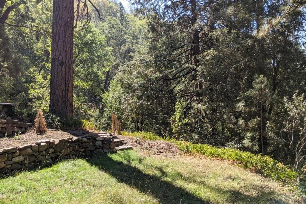 Pierce'S Cabin Miramonte Exterior foto